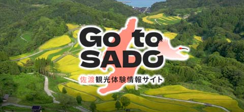 Go To SADOのイメージ画像