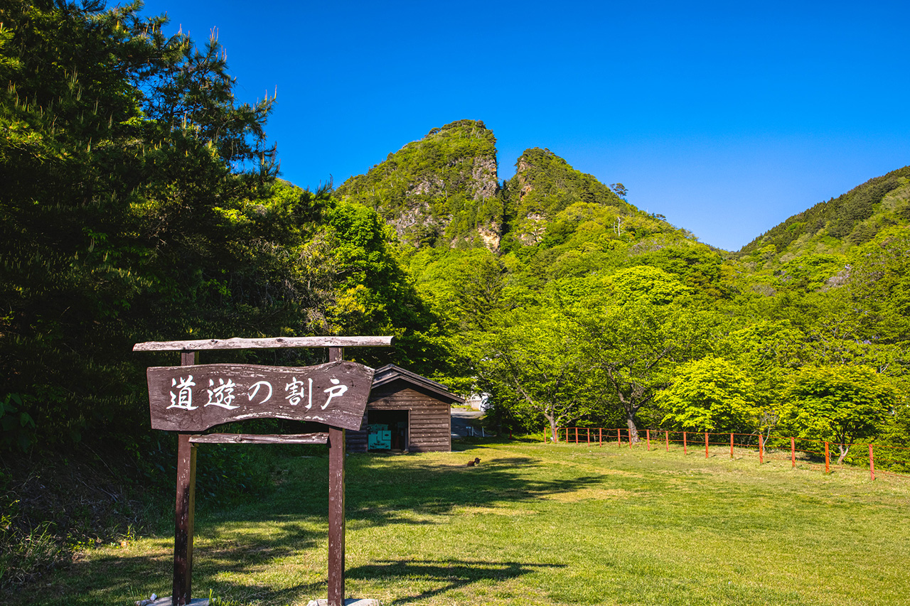 佐渡ふるさと納税